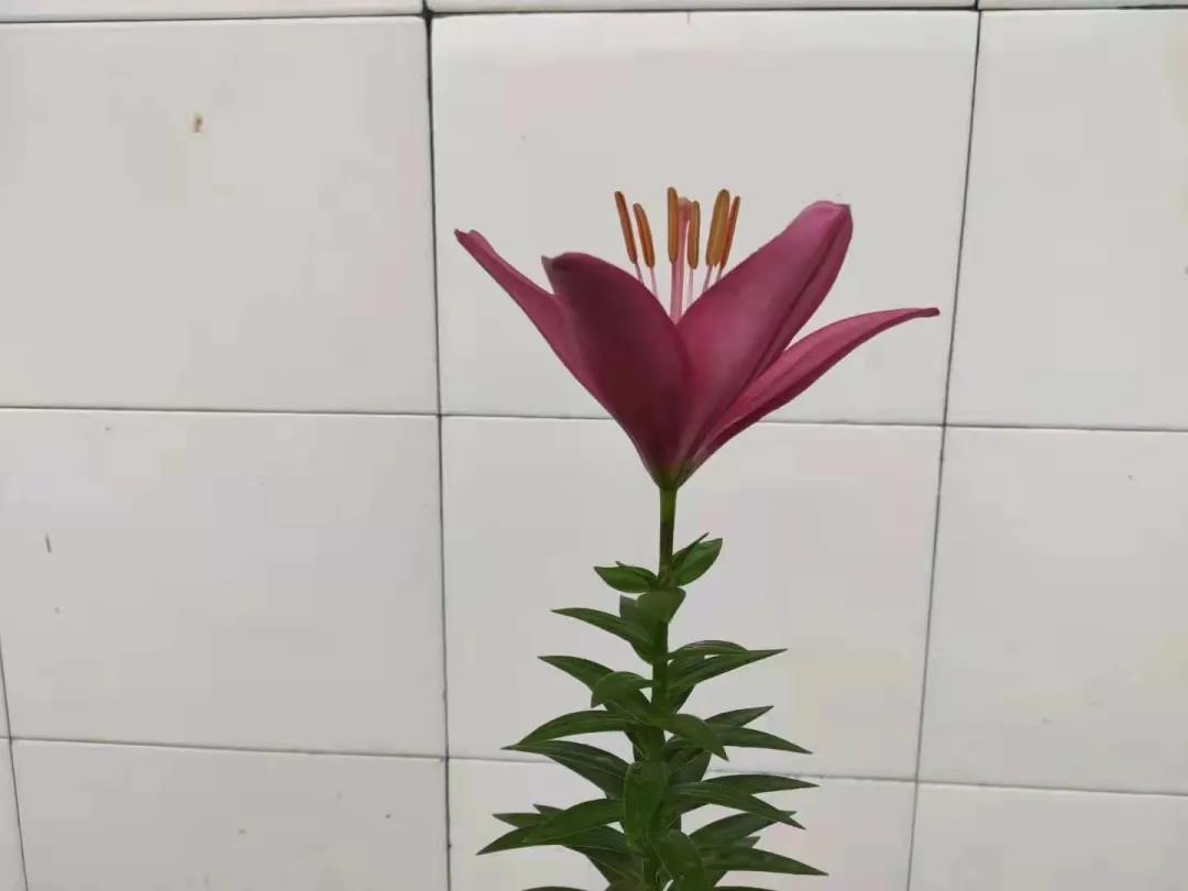 1637717153376933.jpg 7.jpg