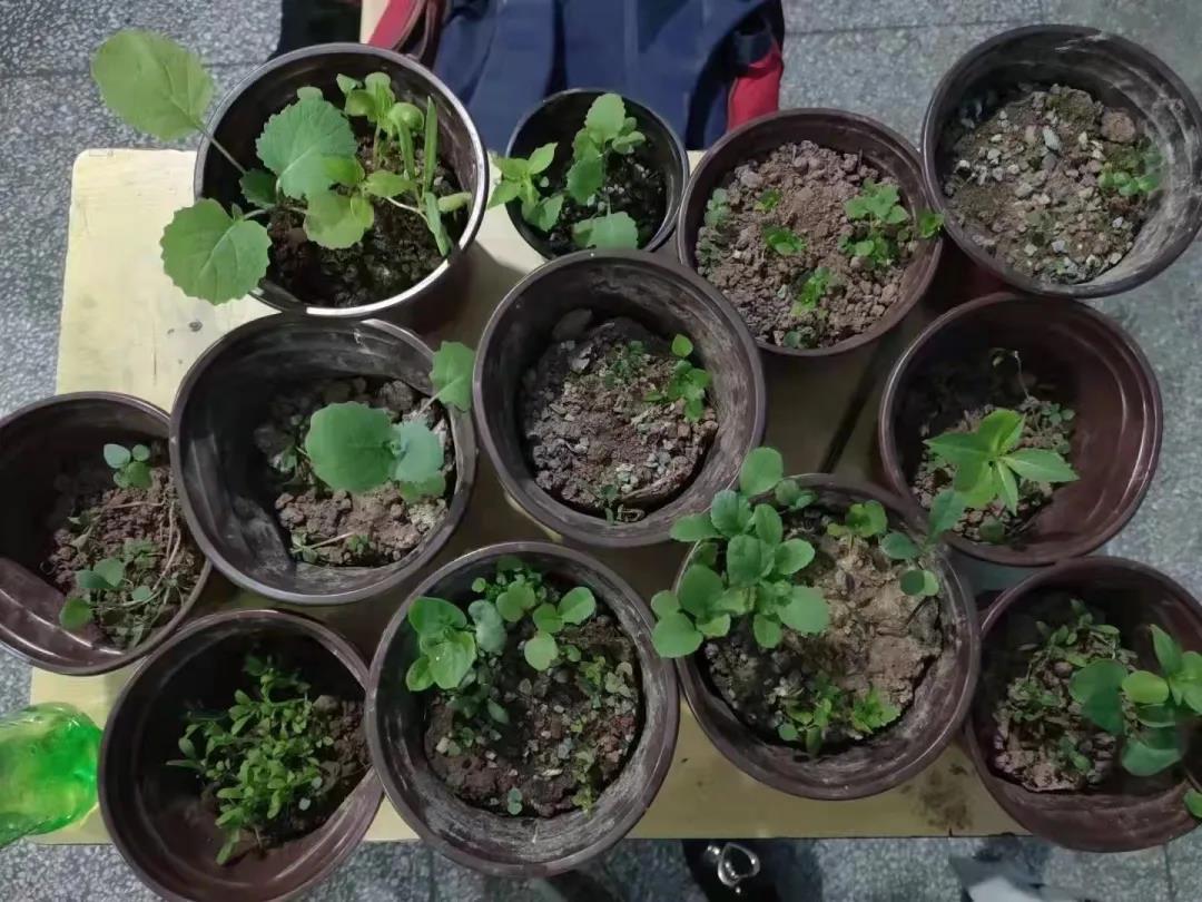 1637717162523027.jpg 8.jpg