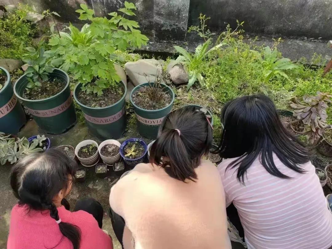 1637717183734080.jpg 10.jpg