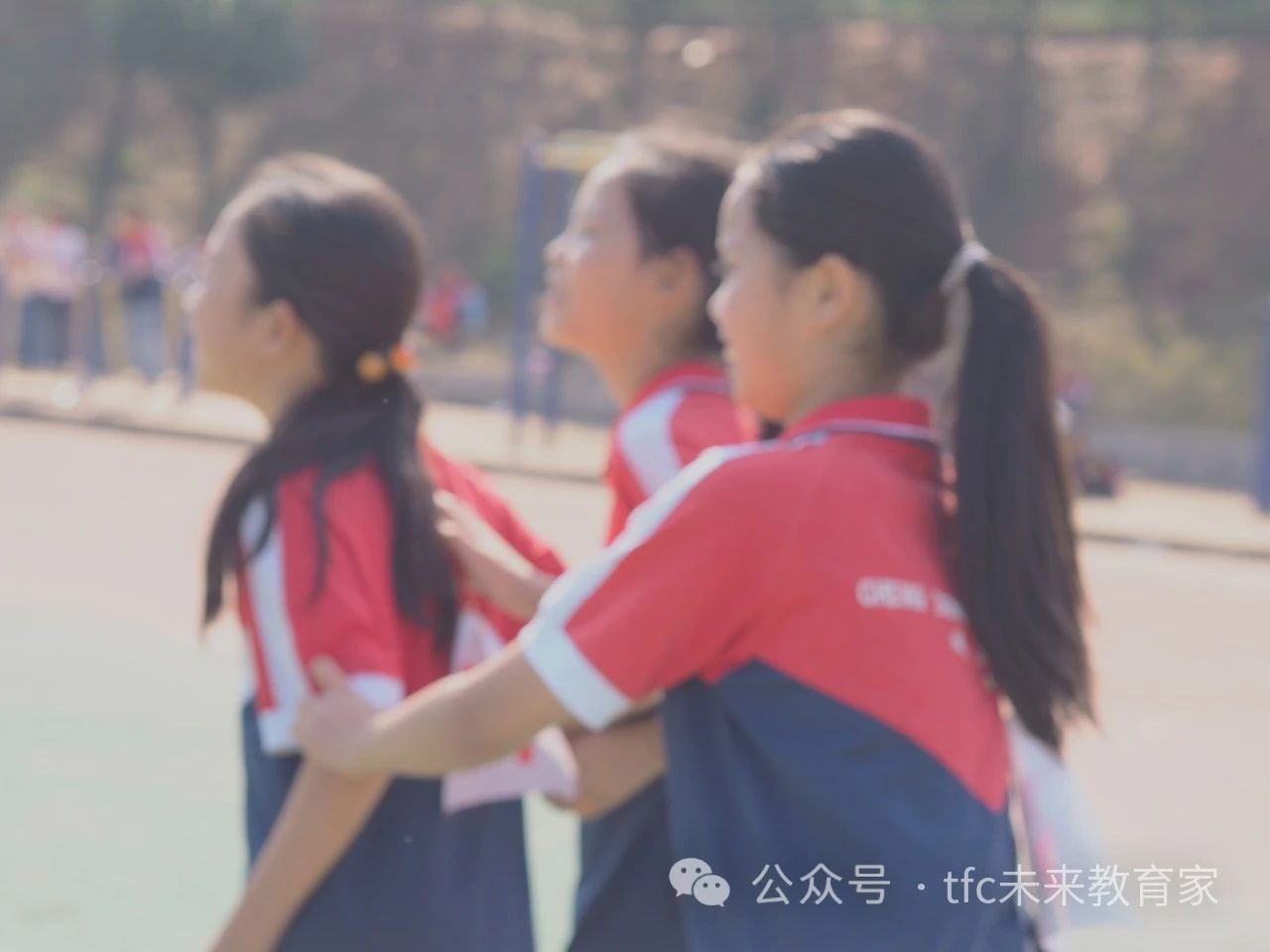 1706752467664270.jpg 3818598a08c4cae90362c4fe0b3d9fc1.jpg