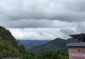 截屏2024-03-19 21.37.55.png