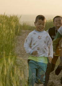 志愿者教师项目-2016年5月 陕西地区评估报告